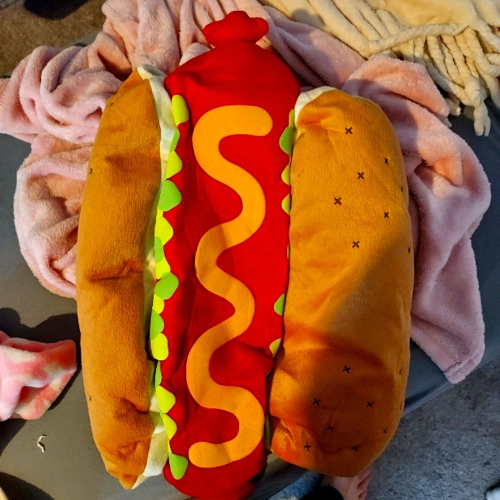 Hot dog costume